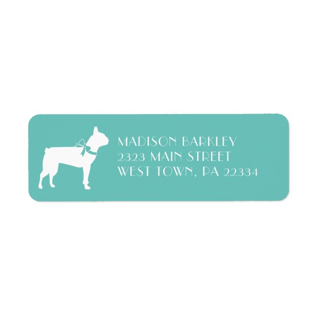 Chien de Boston Terrier Puppy (Devant)