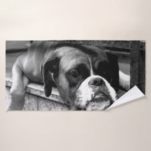 Chien de boxe sur Windows sill btcn