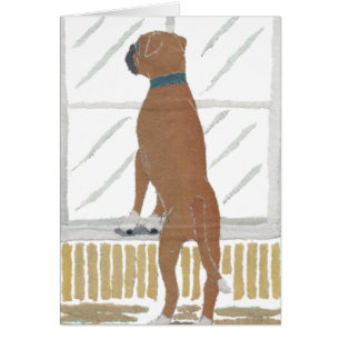 Chien de boxeur