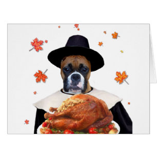 Chien de boxeur de thanksgiving
