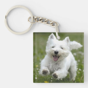 Chien de cadeau de porte - clé de 2 photos