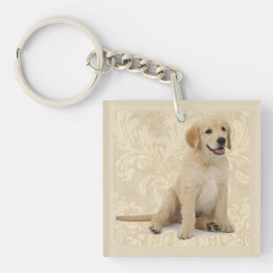 Chien de cadeau de porte - clé de photo d'animal