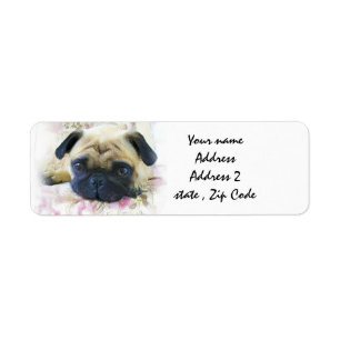 Chien de carlin
