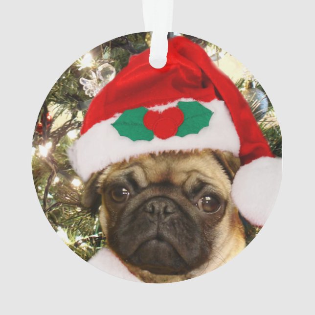 Chien de carlin de Noël (dos)