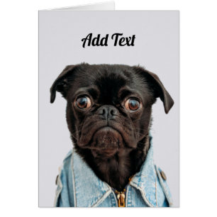 Chien de Carlin noir ajouter du texte