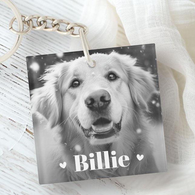 Chien de chien animal nom de chat coeurs deux phot (Pet dog cat name hearts two photos keychain)