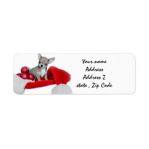 Chien de chiwawa de Noël