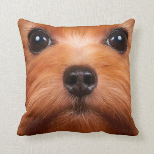chien de compagnie coussin 34
