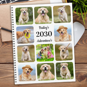 Chien de compagnie personnalisé moderne 11 Photo C