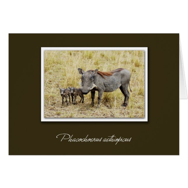 Chien de guerre avec piglets cartes safari (Devant horizontal)