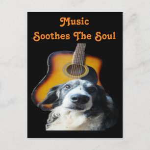 Chien de guitare de carte postale