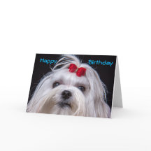 Chien de jouet blanc maltais de carte