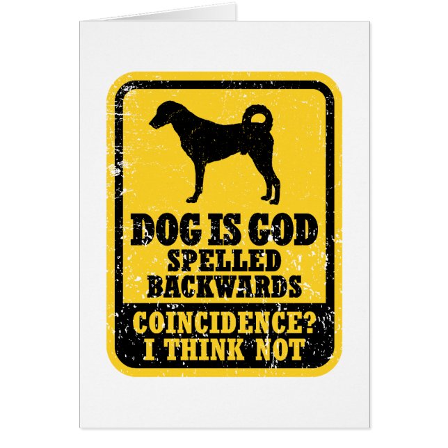 Chien de Kangal (Devant)