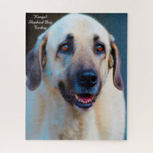 Chien de Kangal. Jigsaw Puzzle