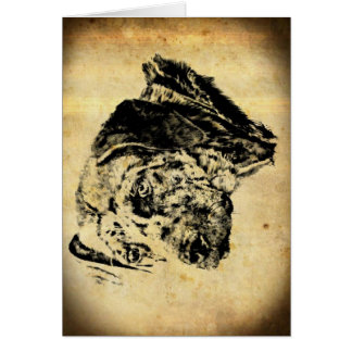 Chien de léopard de la Louisiane Catahoula ancien