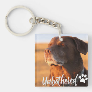 Chien de l'heure dorée imperturbable – Minimaliste