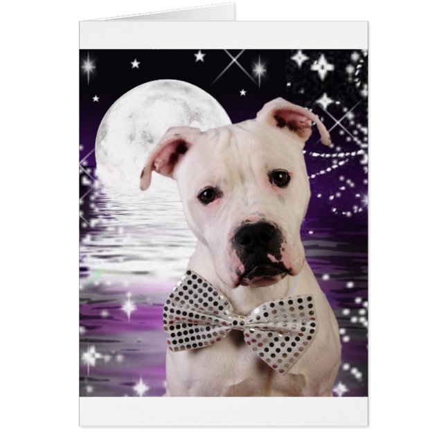 Chien de lune (Devant)