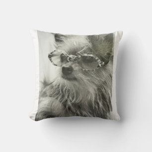 Chien de mode de NYC. Coussin de jeté de la 5e Ave