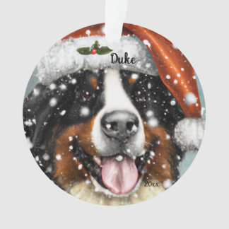 Chien de montagne bernois, Chien de Père Noël, Orn