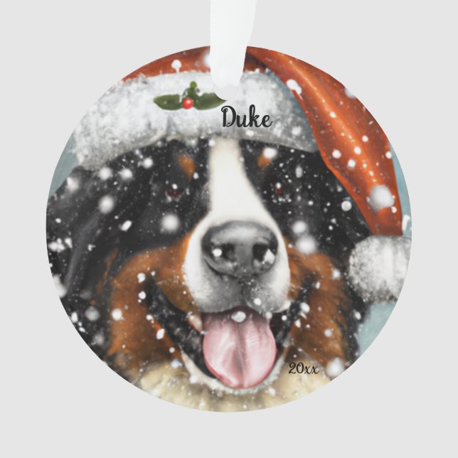 Chien de montagne bernois, Chien de Père Noël, Orn (devant)