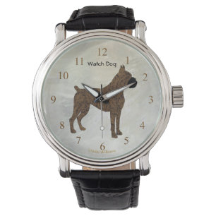 Chien de Montre de Boxe Brindle