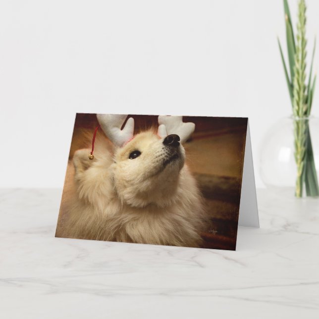 Chien de Noël espéré dans la carte des oreilles de (Devant)