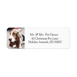 Chien de Noël Faire Étiquette de adresse Carte de 
