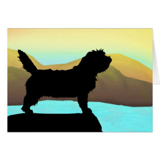 Chien de PBGV par la mer