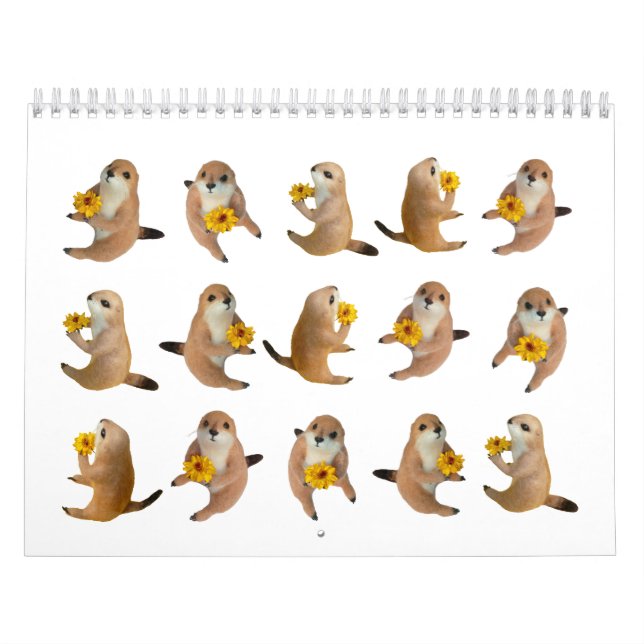 chien de prairie, calendrier (Protection)
