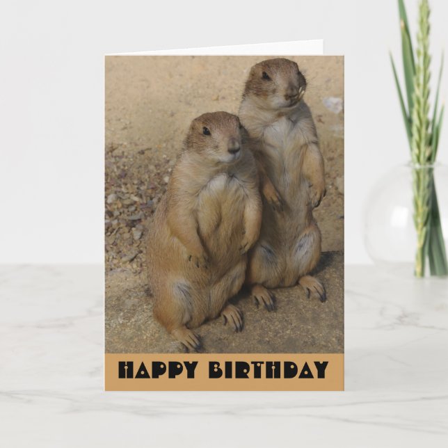 Chien de prairie de carte de joyeux anniversaire (Devant)