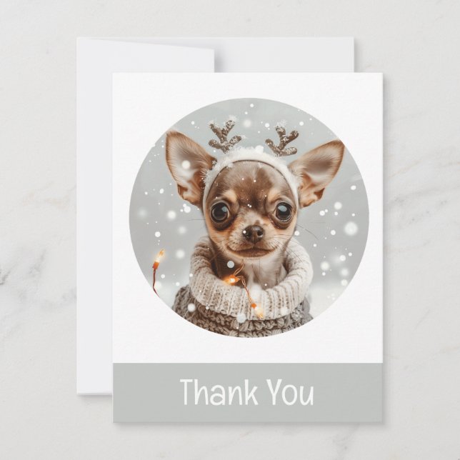 Chien de rennes de Chihuahua Merci Noël (Devant)
