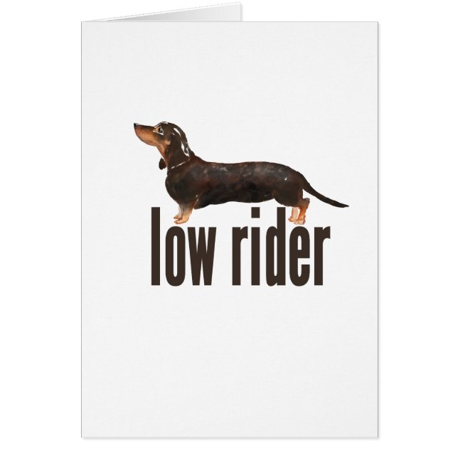 Chien de saucisse de Daschund (Devant)