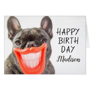 Chien de sourire des images   A de Getty
