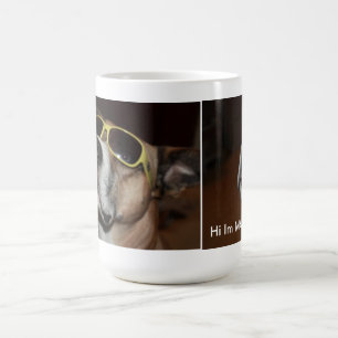 Chien de TASSE de max