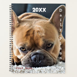 Chien de taule français - Planificateur quotidien 