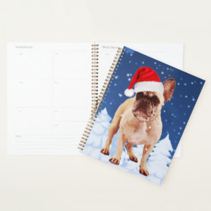 Chien de taureau français en Noël de neige avec Sa