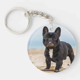 Chien de taureau français jouant dans le sable