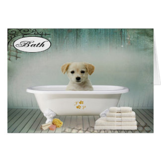 Chien de temps de bain