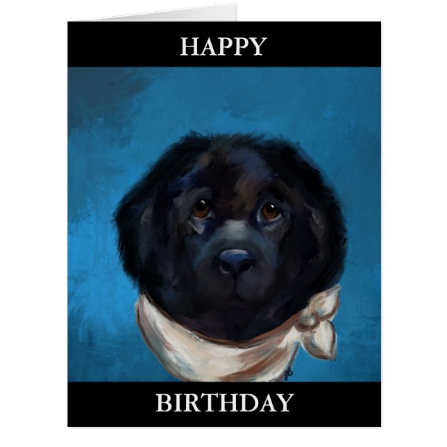 Chien de Terre-Neuve (Devant)