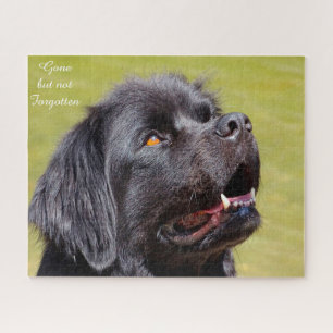 Chien de Terre-Neuve. Puzzle