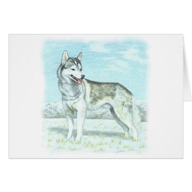 Chien de traîneau sibérien (Devant horizontal)