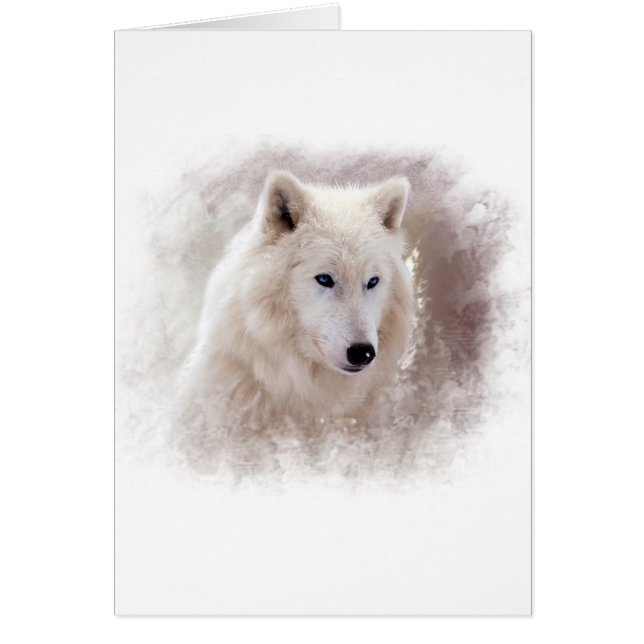 CHIEN DE TRAÎNEAU SIBÉRIEN BLANC (Devant)