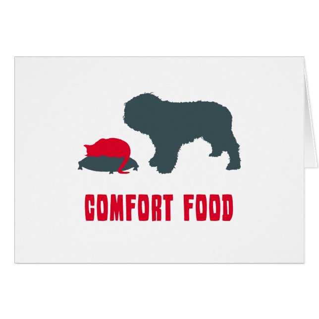 Chien d'eau espagnol (Devant horizontal)