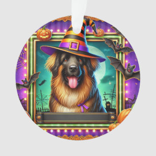 Chien d'Halloween avec chapeau de sorcière