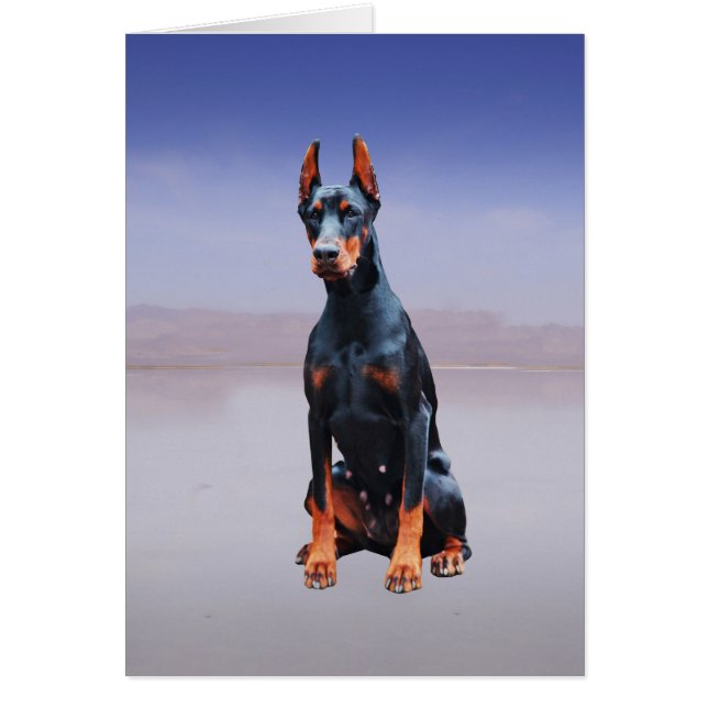 Chien Doberman Assis Sur La Plage (Devant)
