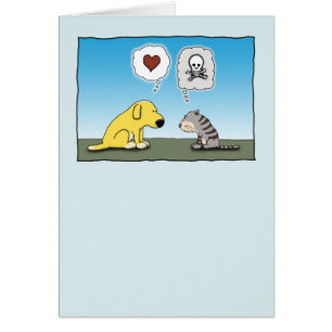 Chien drôle et amour et haine de chat