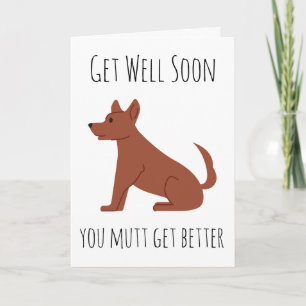 chien drôle obtenir bien bientôt cartes