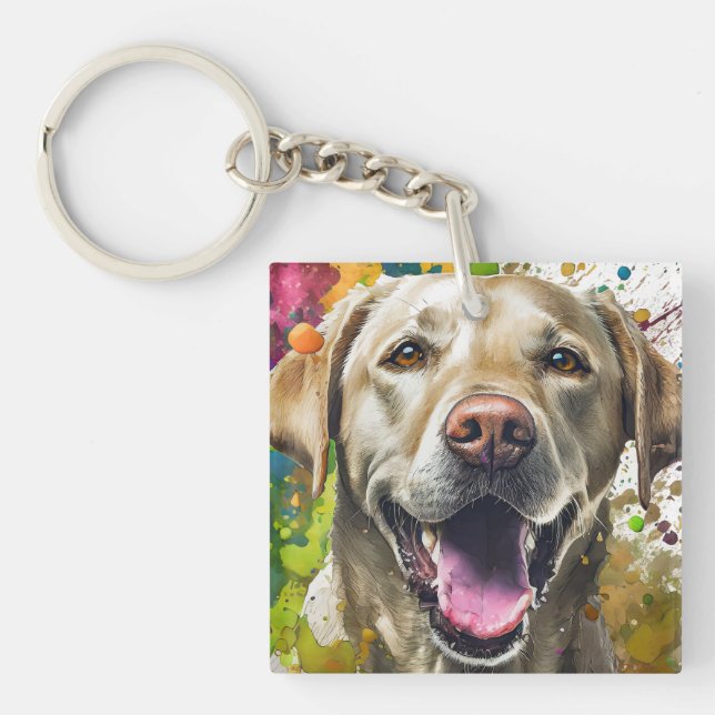 Chien du Labrador (Devant)