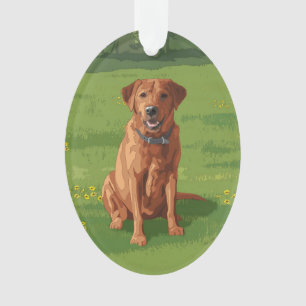 Chien du Labrador jaune rouge renard