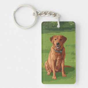 Chien du Labrador jaune rouge renard